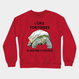 I Like Tortoises and Maybe 3 People Crewneck Sweatshirt